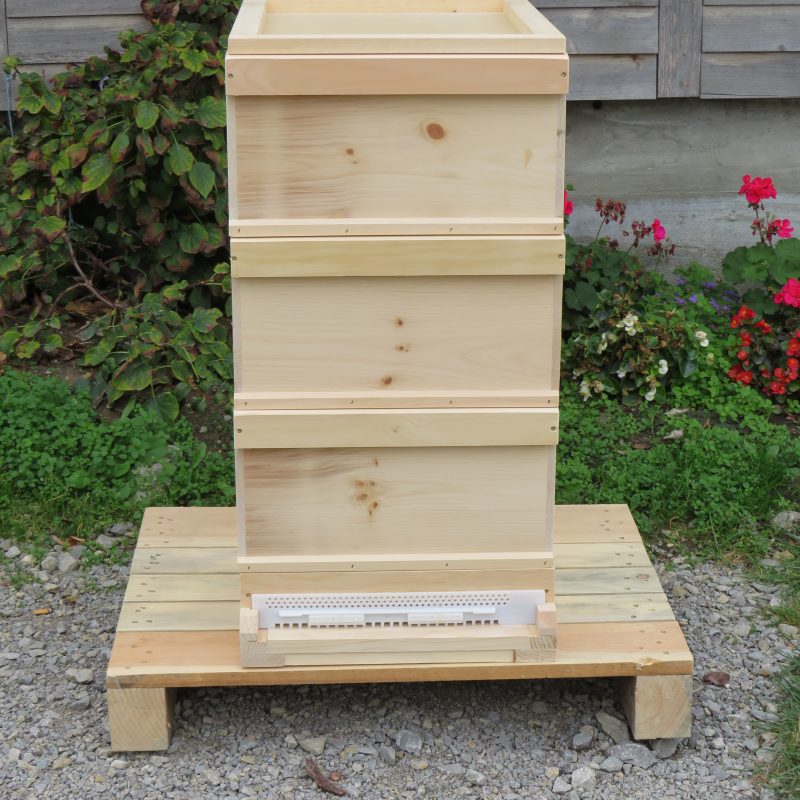 Zander Bienenbeute ZN 10 – Aus Weymouthskiefer, Wärmegedämmt, Mit Edelstahlgitter & Varroaschieber, Fertig Montiert, Für Nachhaltige Imkerei