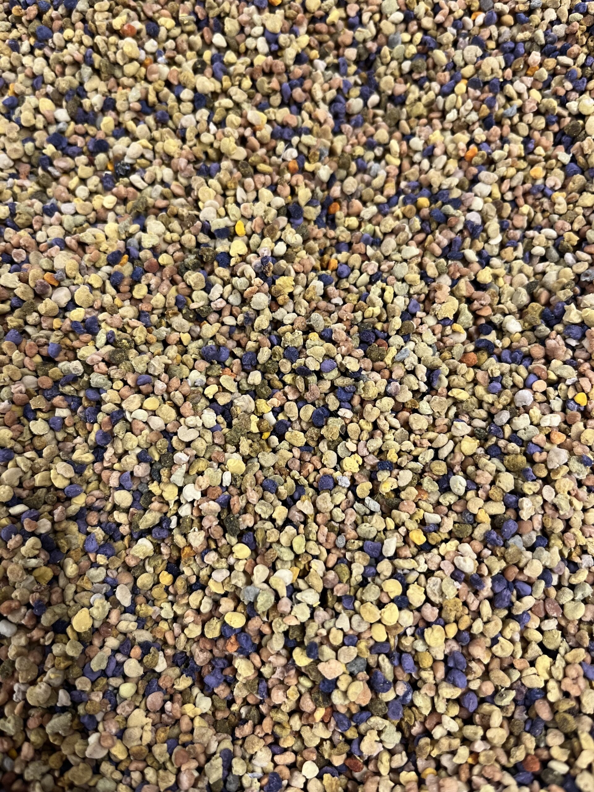 Deutscher Blütenpollen Ernte 2026