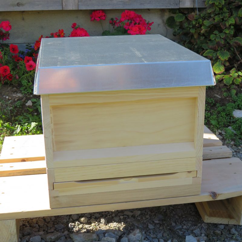 Ablegerkasten CH Mass Bienen (Neu (gemäss Beschreibung)) in Sennhof für