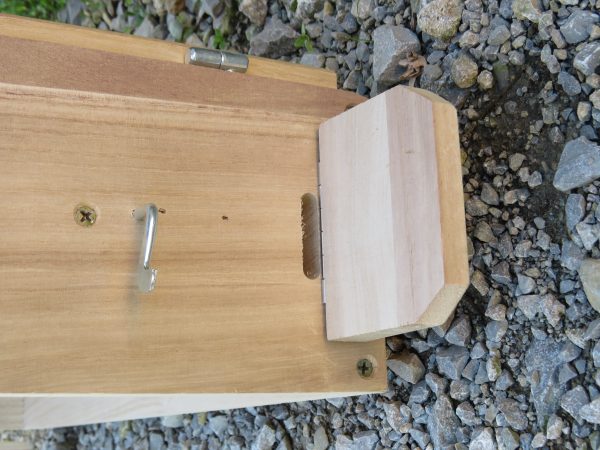 Schaukasten Zander