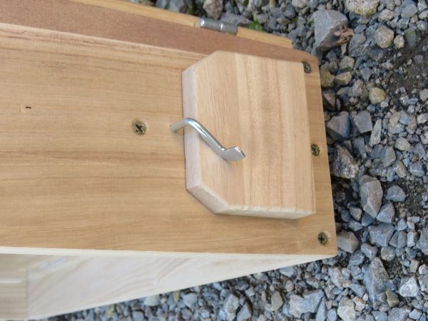Schaukasten Zander